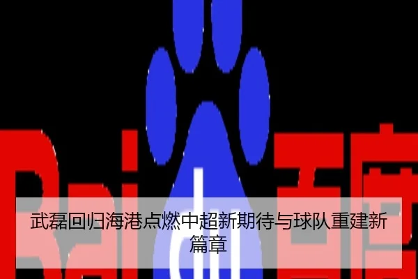 武磊回归海港点燃中超新期待与球队重建新篇章