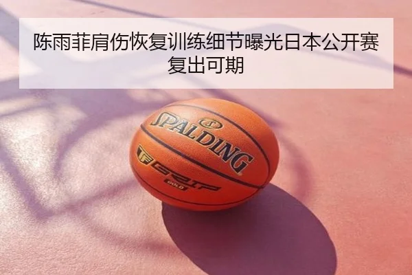 陈雨菲肩伤恢复训练细节曝光日本公开赛复出可期