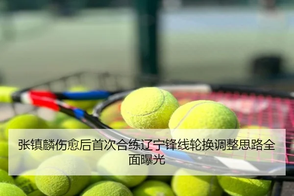 张镇麟伤愈后首次合练辽宁锋线轮换调整思路全面曝光