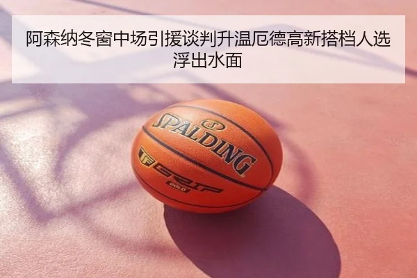 阿森纳冬窗中场引援谈判升温厄德高新搭档人选浮出水面